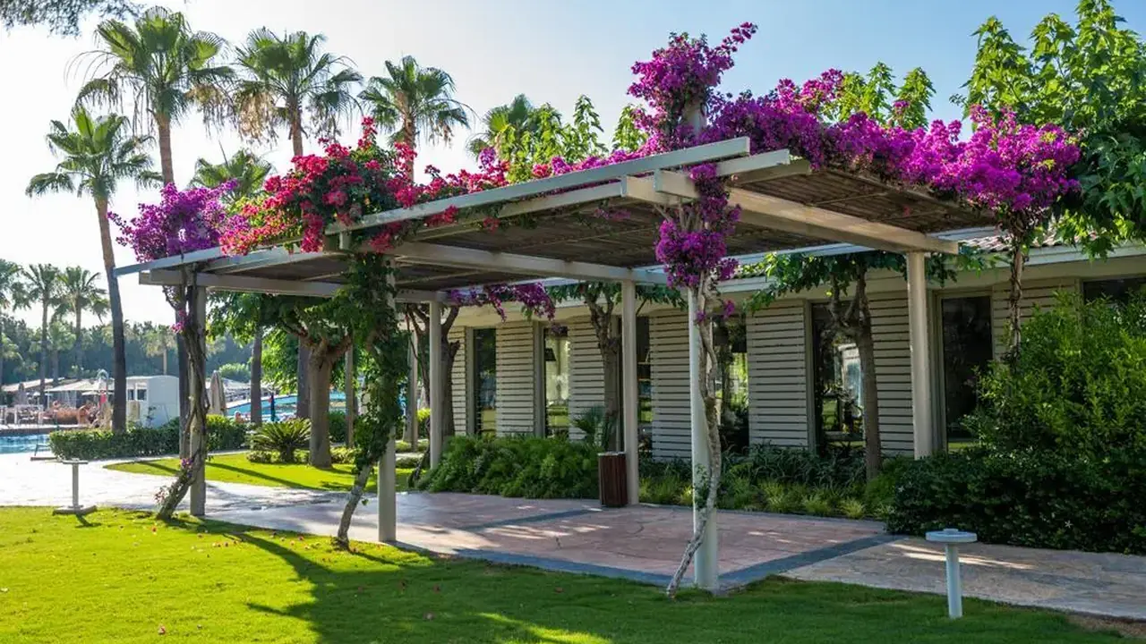 BARUT LARA COLLECTION