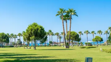 BARUT LARA COLLECTION