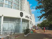 Bavaro