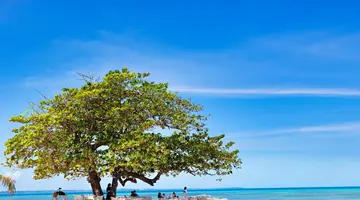 Bawe Island
