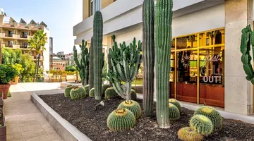 Be Live Adults Only Tenerife