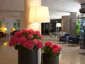 Be Live Experience Costa Palma