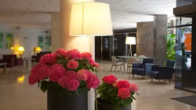 Be Live Experience Costa Palma