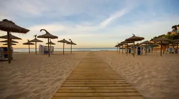 Be Live Experience Costa Palma