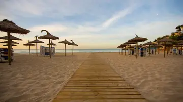 Be Live Experience Costa Palma