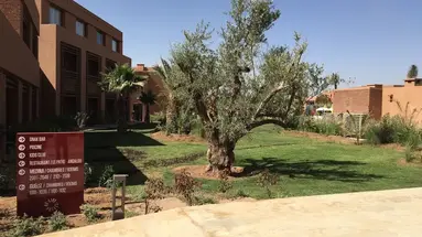 Be Live Experience Marrakech Palmeraie -