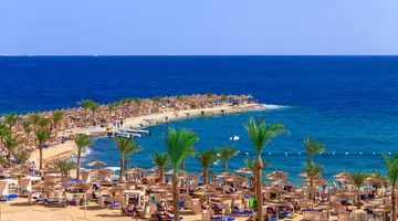 BEACH ALBATROS RESORT