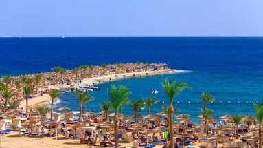 BEACH ALBATROS RESORT