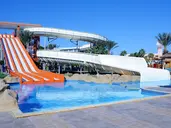 Beach Albatros
