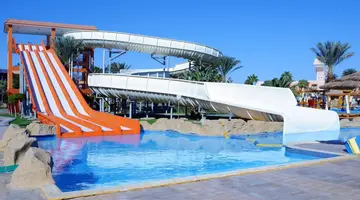 Beach Albatros