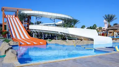 Beach Albatros