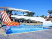 Beach Albatros