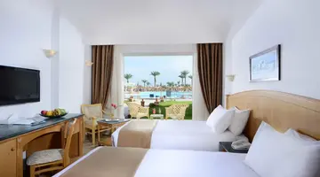 Beach Albatros