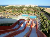 Beach Albatros