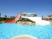 Beach Albatros
