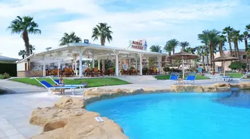 Beach Albatros
