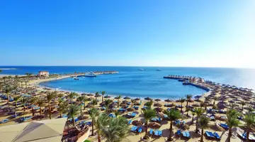 Beach Albatros