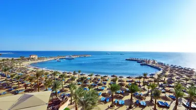 Beach Albatros