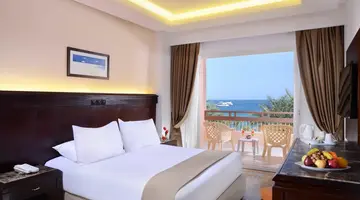 Beach Albatros