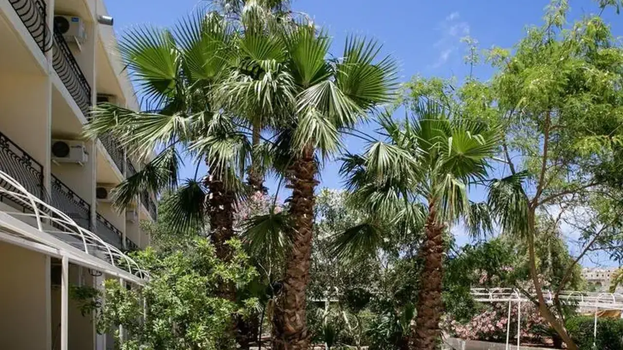 Beach Garden Hotel