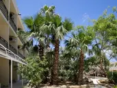 Beach Garden Hotel