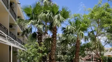 Beach Garden Hotel