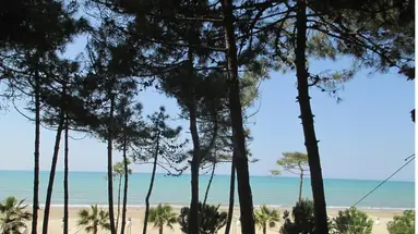 BEL CONTI