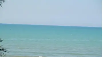 BEL CONTI
