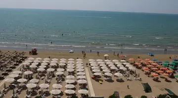Bel Conti