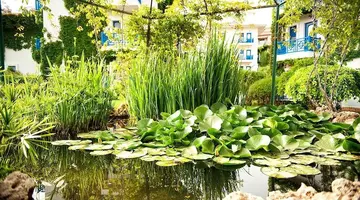Belconti Resort Hotel - All Inclusive