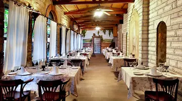 Belconti