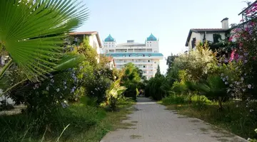 Belkon