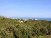 Bellevue Golden Sands