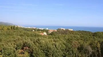 Bellevue Golden Sands