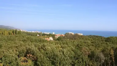 Bellevue Golden Sands