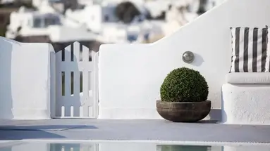 Belvedere Suites
