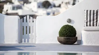 Belvedere Suites