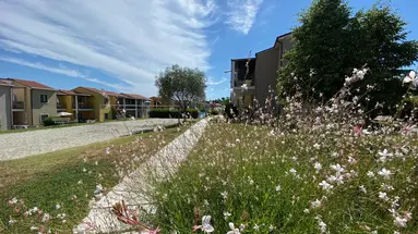 Belvedere Village