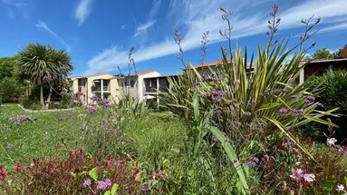 Belvedere Village