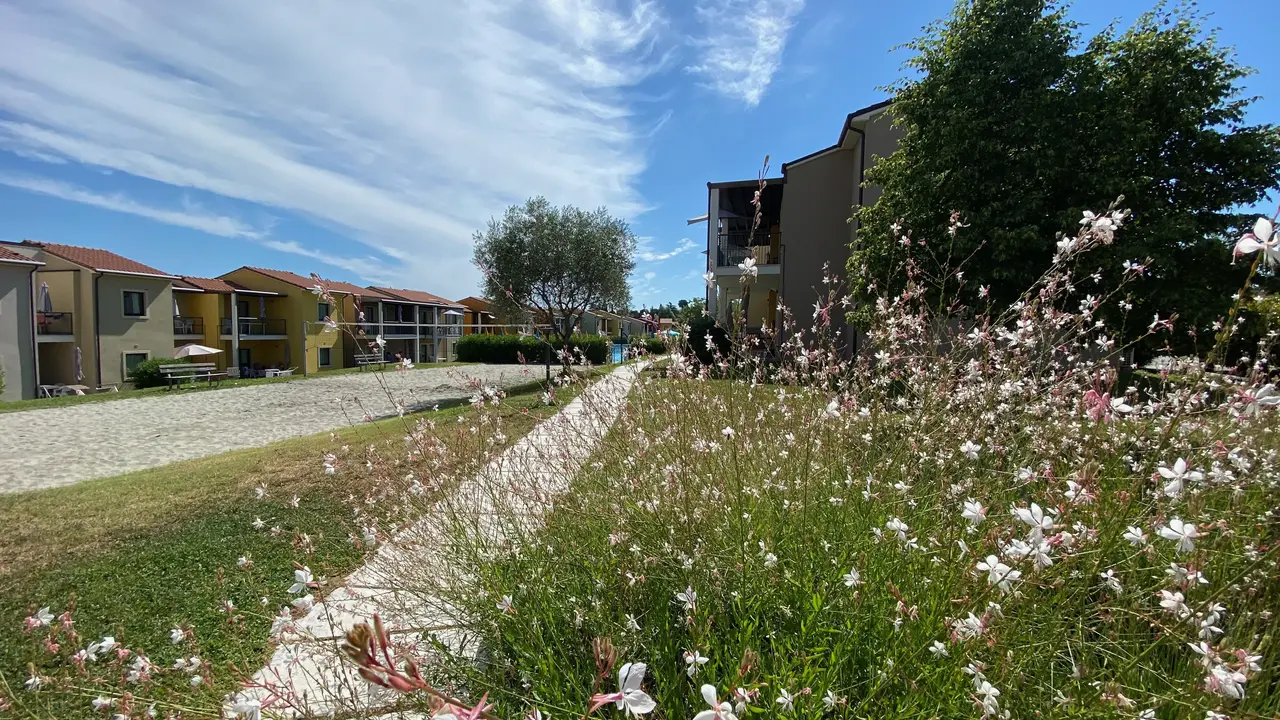 Belvedere Village