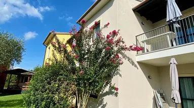 Belvedere Village