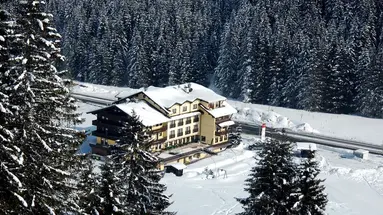 Berghotel Holzer