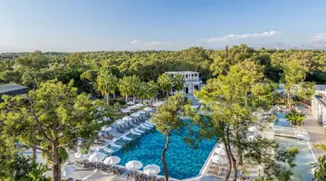 Berry Blue Hotels