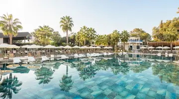 Berry Blue Hotels
