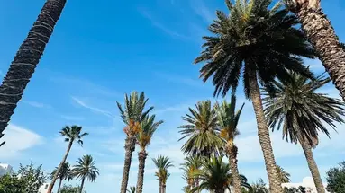 Best Beach Hotel
