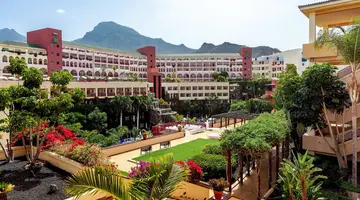 Best Jacaranda