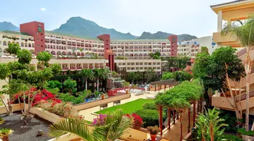 Best Jacaranda