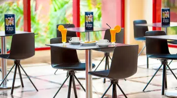 Best Jacaranda