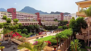 Best Jacaranda