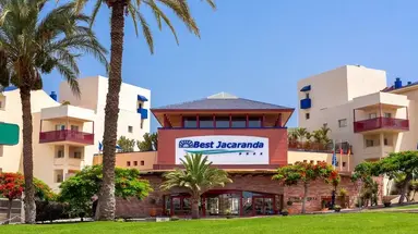 Best Jacaranda
